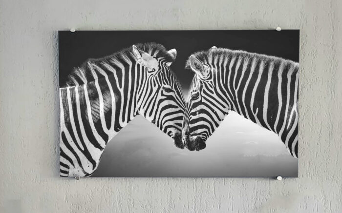 Foto op glas - Afbeelding 6