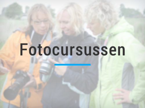 Fotocursussen