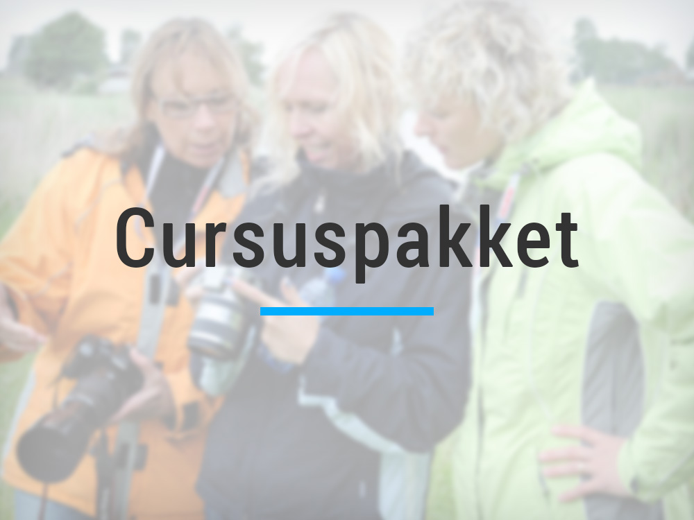 Cursuspakket