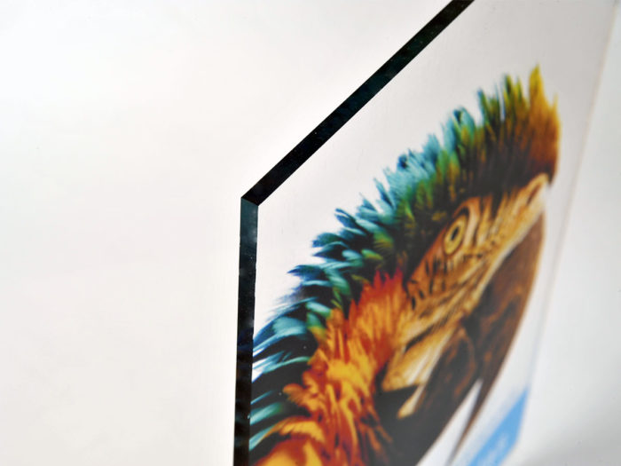 Foto op glas - Afbeelding 4
