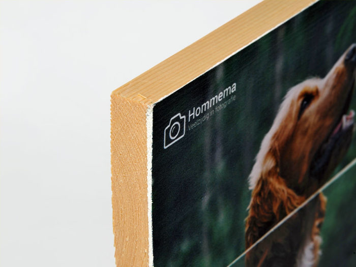 Foto op hout - Afbeelding 2