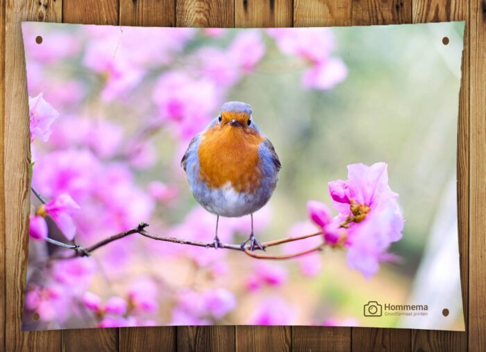 Tuinposter 150x100cm - Afbeelding 2