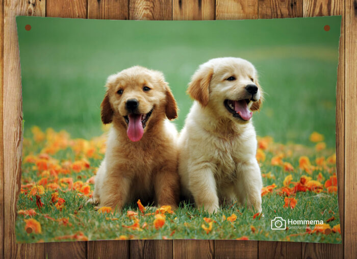 Tuinposter 150x100cm - Afbeelding 7