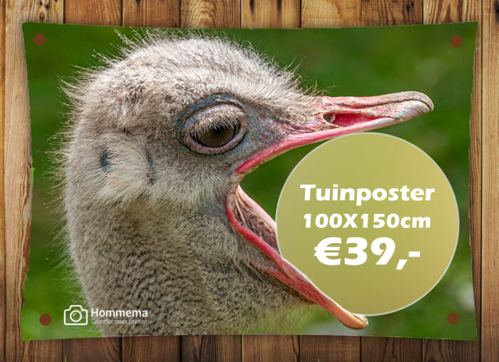 Tuinposter 150x100cm - Afbeelding 6