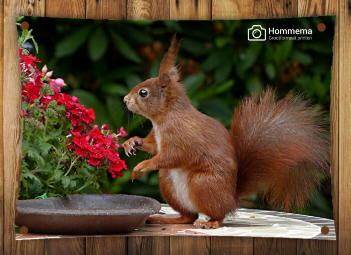 Tuinposter 150x100cm - Afbeelding 5