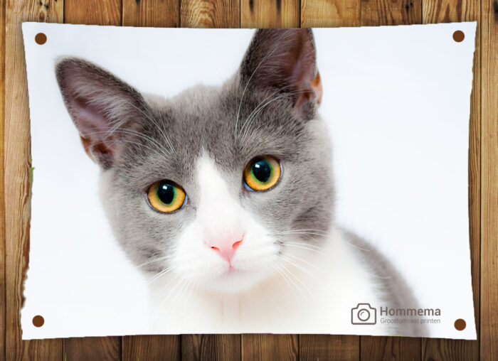 Tuinposter 150x100cm - Afbeelding 4
