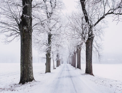 Winterfotowedstrijd gaat binnenkort van start